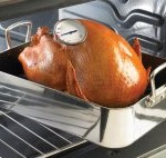 gThankYou! Turkey with Thermometer