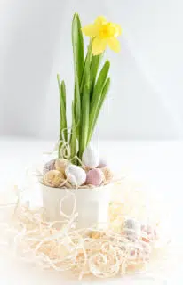 Celebrate spring in the office with flowers and chocolate eggs