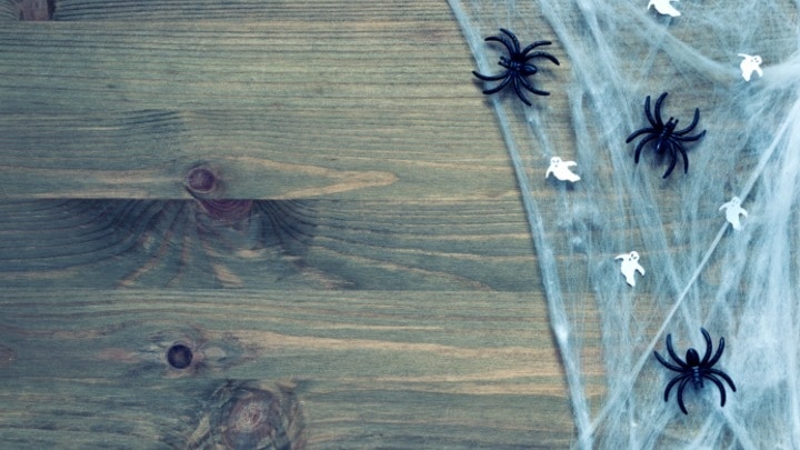 Spider Web - Zoom Background
