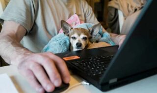 Keep remote workers happy.