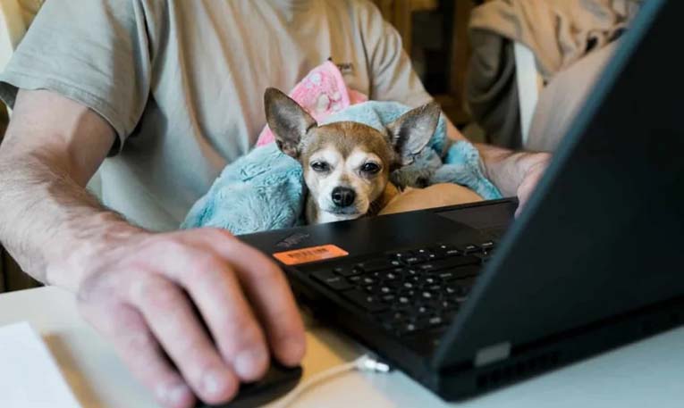 Keep remote workers happy.