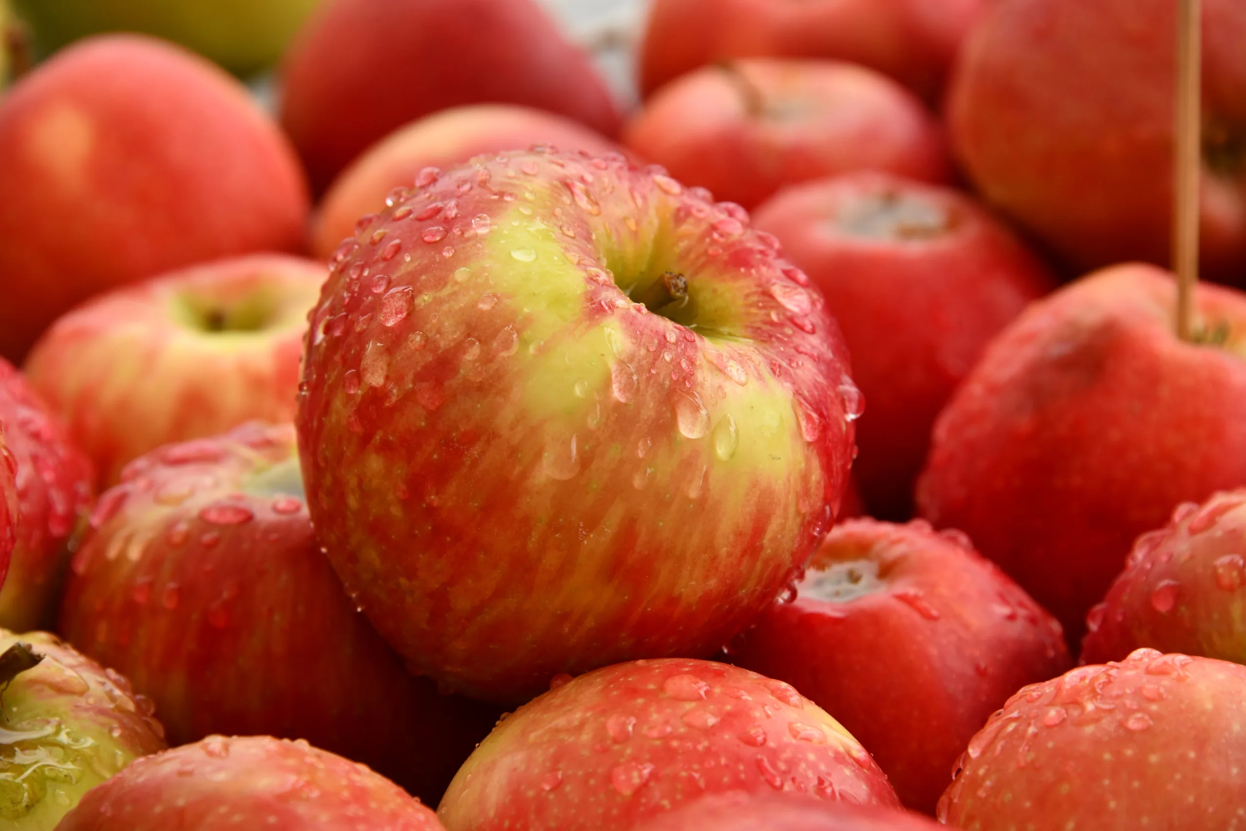 Nutrition and happiness are connected. Apples make a great snack!